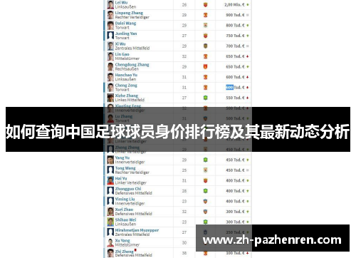 如何查询中国足球球员身价排行榜及其最新动态分析