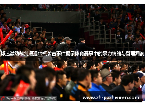 球迷激动裁判遭遇水瓶袭击事件揭示体育赛事中的暴力情绪与管理漏洞