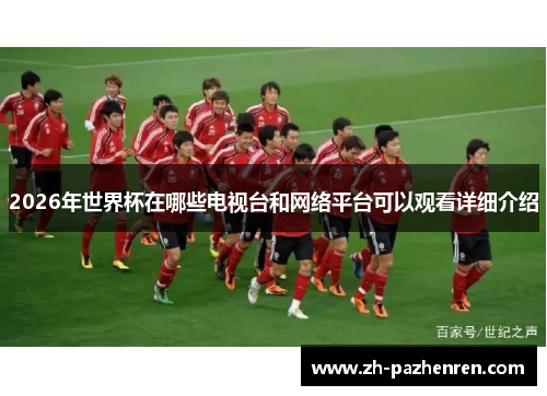 2026年世界杯在哪些电视台和网络平台可以观看详细介绍 2026年世界杯在哪些电视台和网络平台可以观看详细介绍